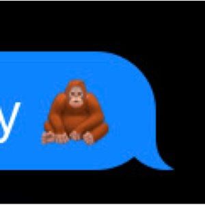 Meet your Posher, Ryder